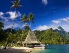 Nature wallpaper 116