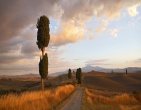 nature wallpaper 124