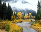 Nature wallpaper 169
