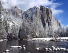 Nature wallpaper 171