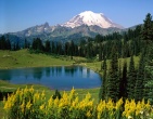 nature wallpaper 174