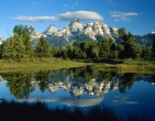 Nature wallpaper 175