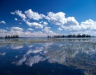 Nature wallpaper 179