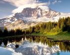 Nature wallpaper 180