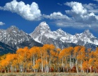 Nature wallpaper 186