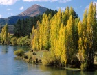 Nature wallpaper 191