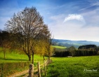 Nature wallpaper 195