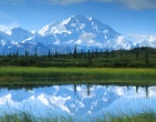 Nature wallpaper 196