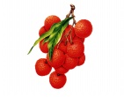 Nature wallpaper 202