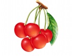 Nature wallpaper 205