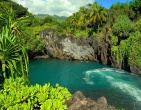 Nature wallpaper 213