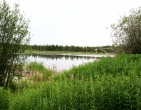 Nature wallpaper 215