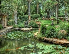 Nature wallpaper 218