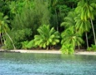 Nature wallpaper 225
