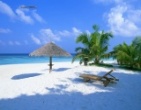 Nature wallpaper 231