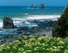 Nature wallpaper 235