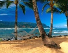 paradise wallpaper 004