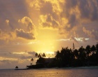 paradise wallpaper 006