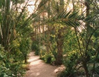 Paradise wallpaper 016