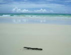 Paradise wallpaper 022