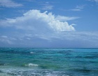 Paradise wallpaper 023