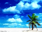 Paradise wallpaper 025