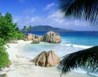 Paradise wallpaper 027
