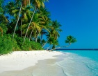 Paradise wallpaper 029