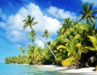 Paradise wallpaper 030