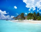 Paradise wallpaper 031