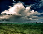 Paradise wallpaper 037