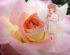 Romantic wallpaper 019