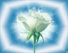 Romantic wallpaper 025