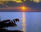 Romantic wallpaper 031