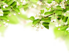Spring 23