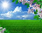 Spring 3