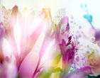 Spring 31