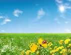 Spring 57