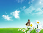 Spring 58
