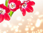 Spring 6