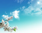 Spring 60