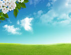 Spring 61