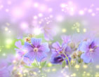 Spring 8