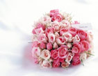 StValentine 027