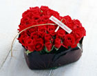 StValentine 038
