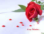 StValentine 084