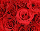 StValentine 117