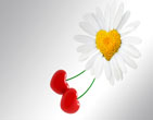 StValentine 205