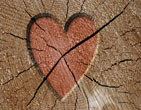 StValentine 220