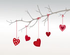 StValentine 221